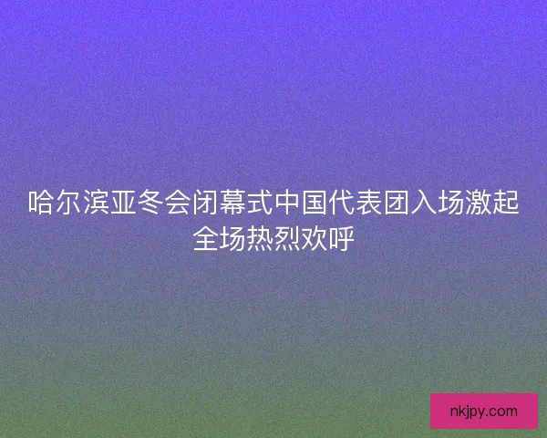 哈尔滨亚冬会闭幕式中国代表团入场激起全场热烈欢呼